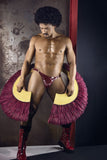 CandyMan Men's Underwear 99819 Dom Thongs Color Gloss Wine