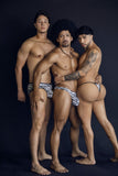 CandyMan 99882 Zebra Thongs Color Zebra Print