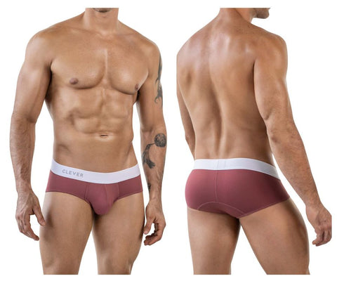 Clever 1863 Lecler Briefs Color Grape