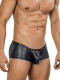 Clever 26043 Atlas Trunks in Sleek Black Metallic Color Black