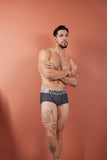 HAWAIR Men's Underwear 42530 Printed Microfiber Briefs Color Gray