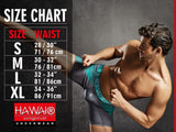 HAWAIR 41961 Microfiber Briefs Color Green