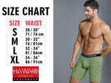 HAWAIR Men's Underwear 41903 Solid Athletic Boxer Briefs Color Petrol