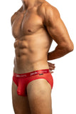 Excite Sheer Brief