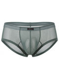 Xtremen 91263 Mens Underwear Microfiber Mesh Briefs Color Green